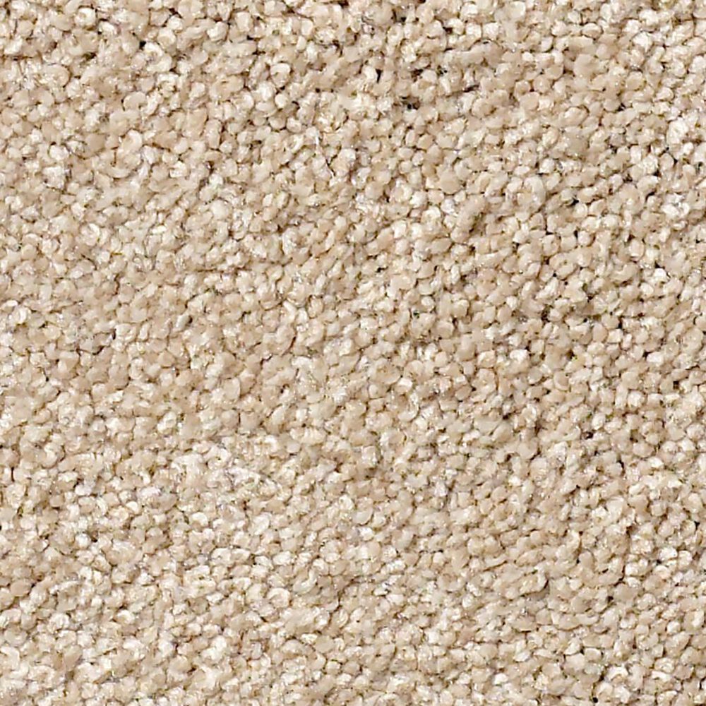 Shaw Find Your Comfort NS II Carpet in Walk on The Beach