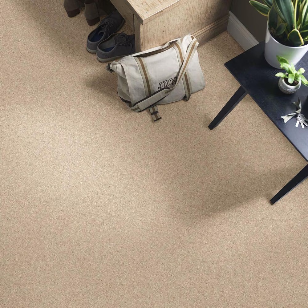 36142-shaw-find-your-comfort-ns-ii-carpet-in-walk-on-the-beach-1.jpg
