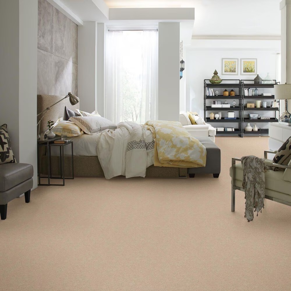 36142-shaw-find-your-comfort-ns-ii-carpet-in-walk-on-the-beach-1.jpg