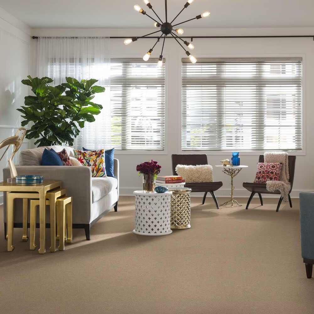 36142-shaw-find-your-comfort-ns-ii-carpet-in-walk-on-the-beach-1.jpg