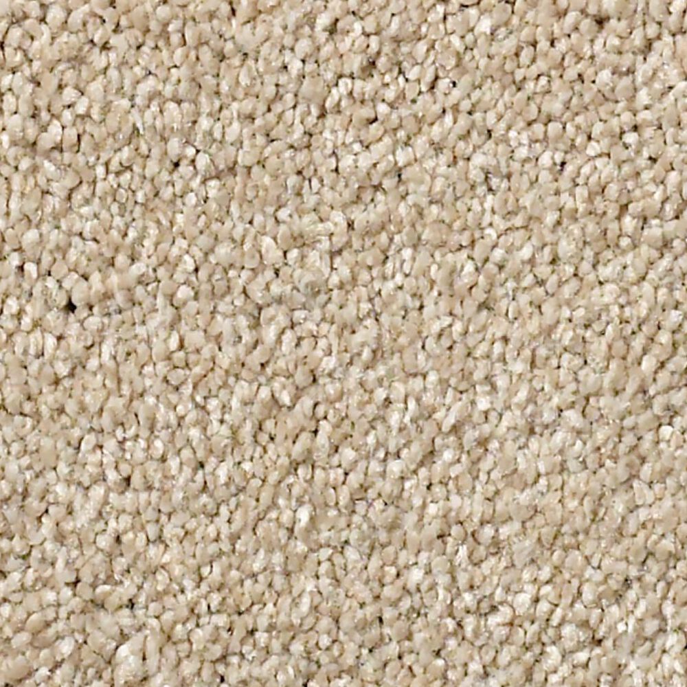 Shaw Find Your Comfort NS II Carpet in Dinner with Friends
