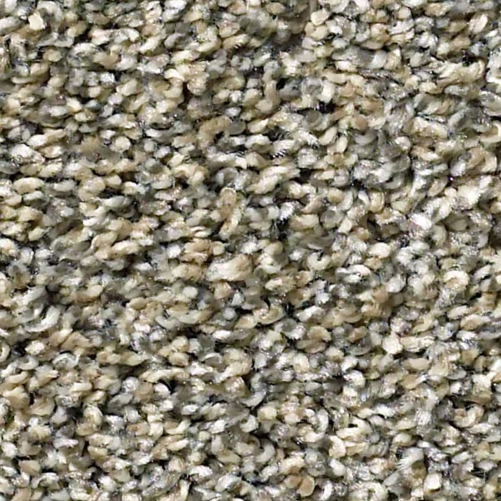Shaw Simply the Best All About It Carpet in Park Trail