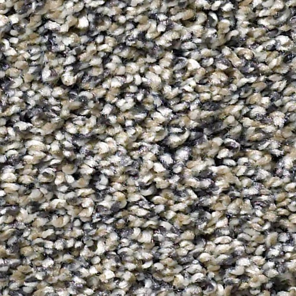Shaw Simply the Best All About It Carpet in Castle