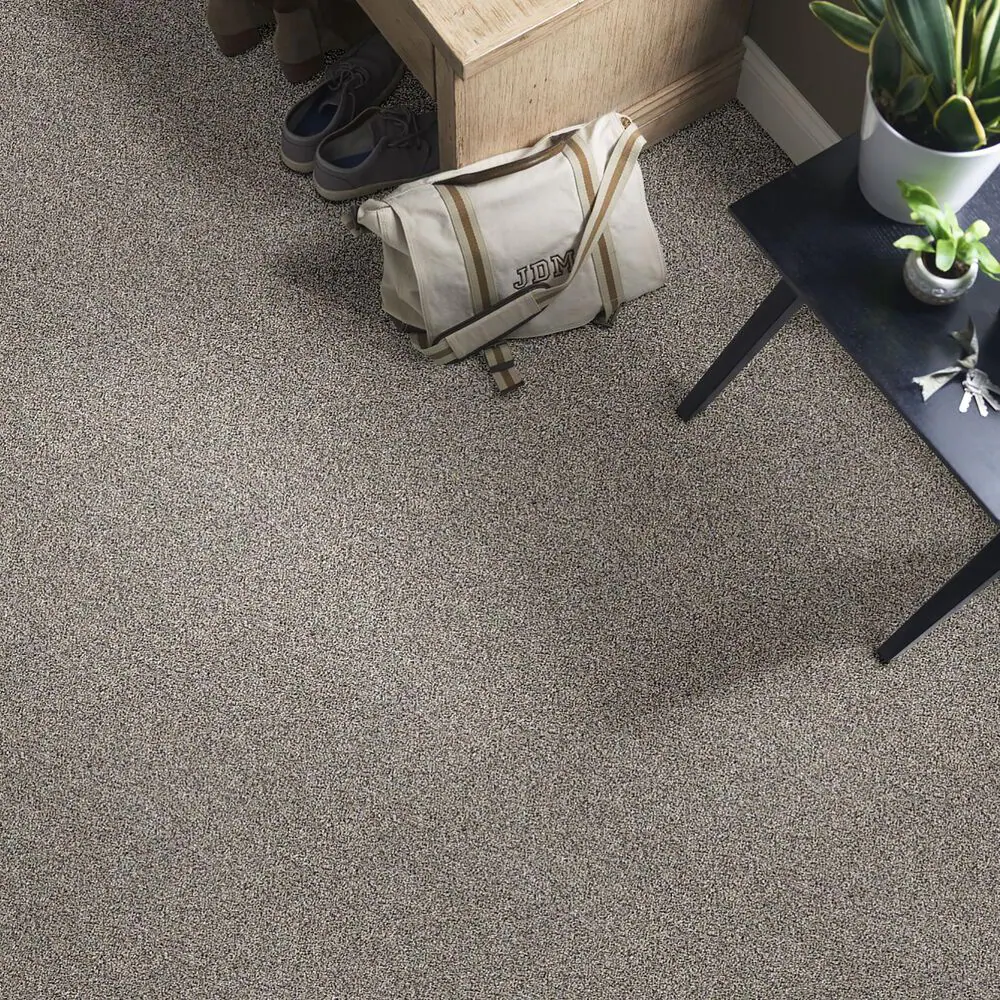 36263-shaw-simply-the-best-all-about-it-carpet-in-castle-1.jpg