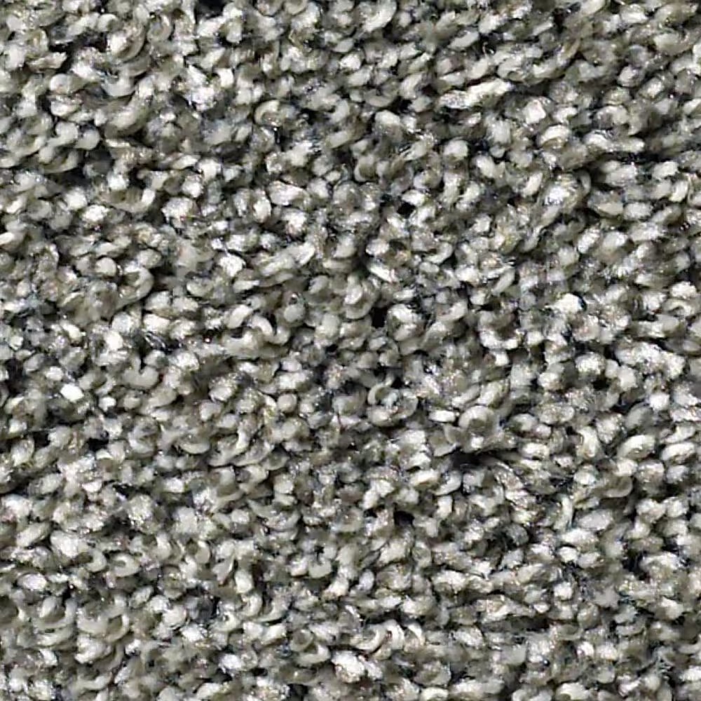 Shaw Simply the Best All About It Carpet in Warm Onyx