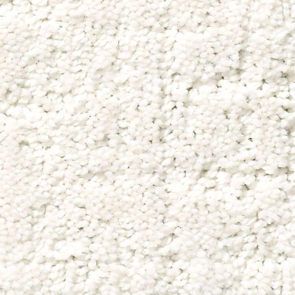 Shaw Creating Memories Carpet in Gallery Opening