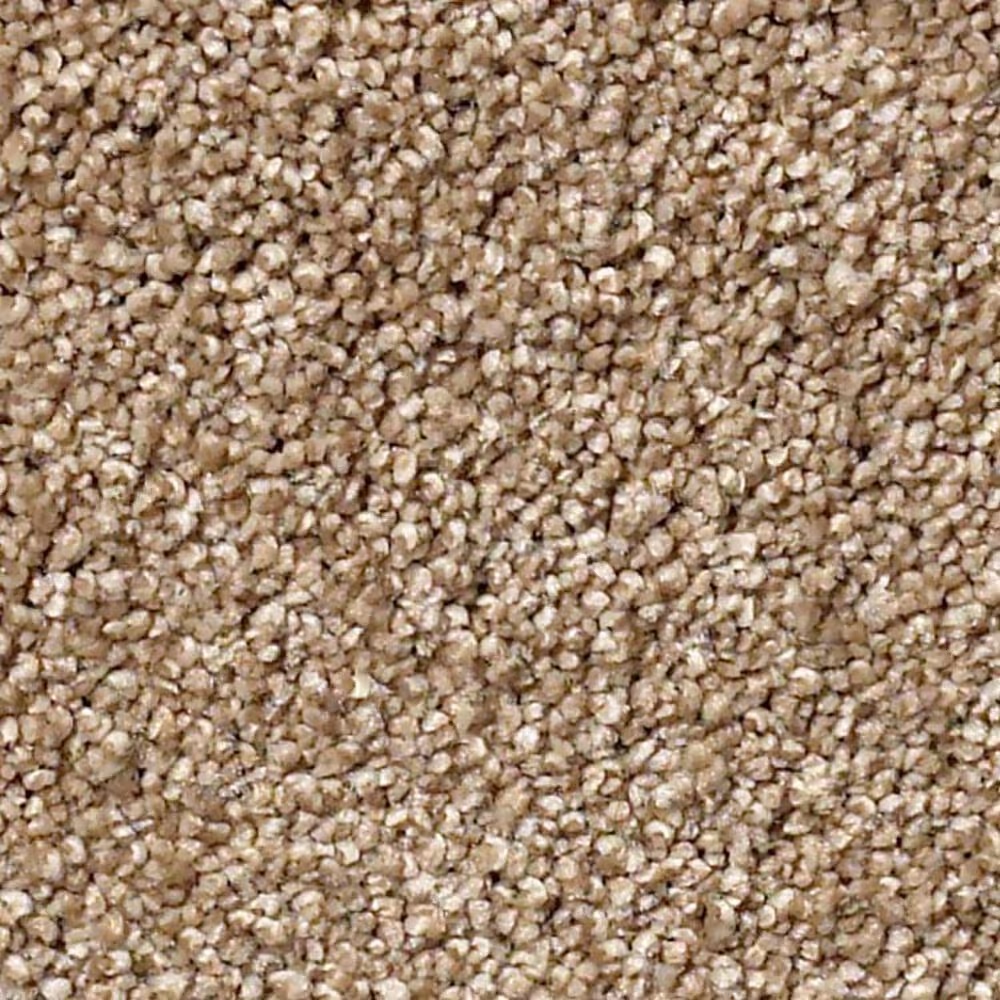Shaw Sfa Find Your Comfort NS II Carpet in Falling Leaves