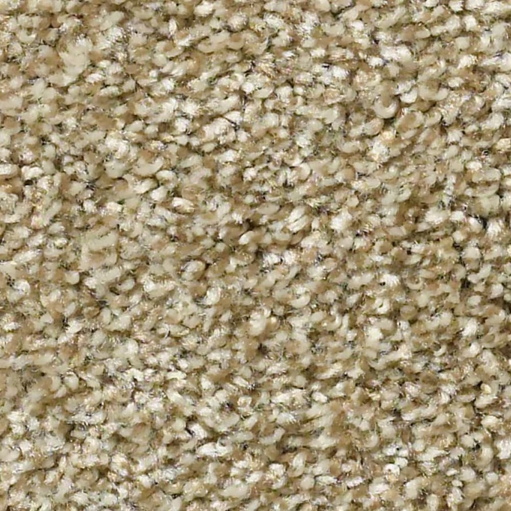 Shaw Simply the Best Cabana Life Tonal Carpet in Dried Clay