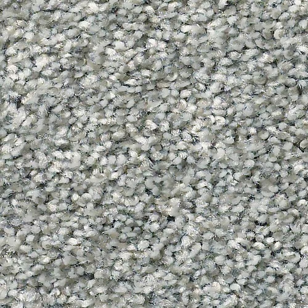 Shaw Simply the Best Cabana Life Tonal Carpet in Stainless