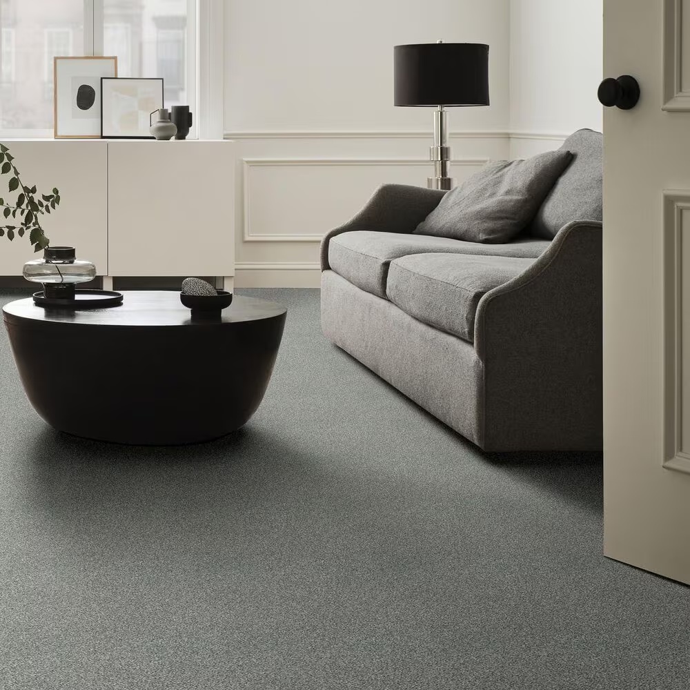 36756-shaw-simply-the-best-cabana-life-tonal-carpet-in-stainless-1.jpg