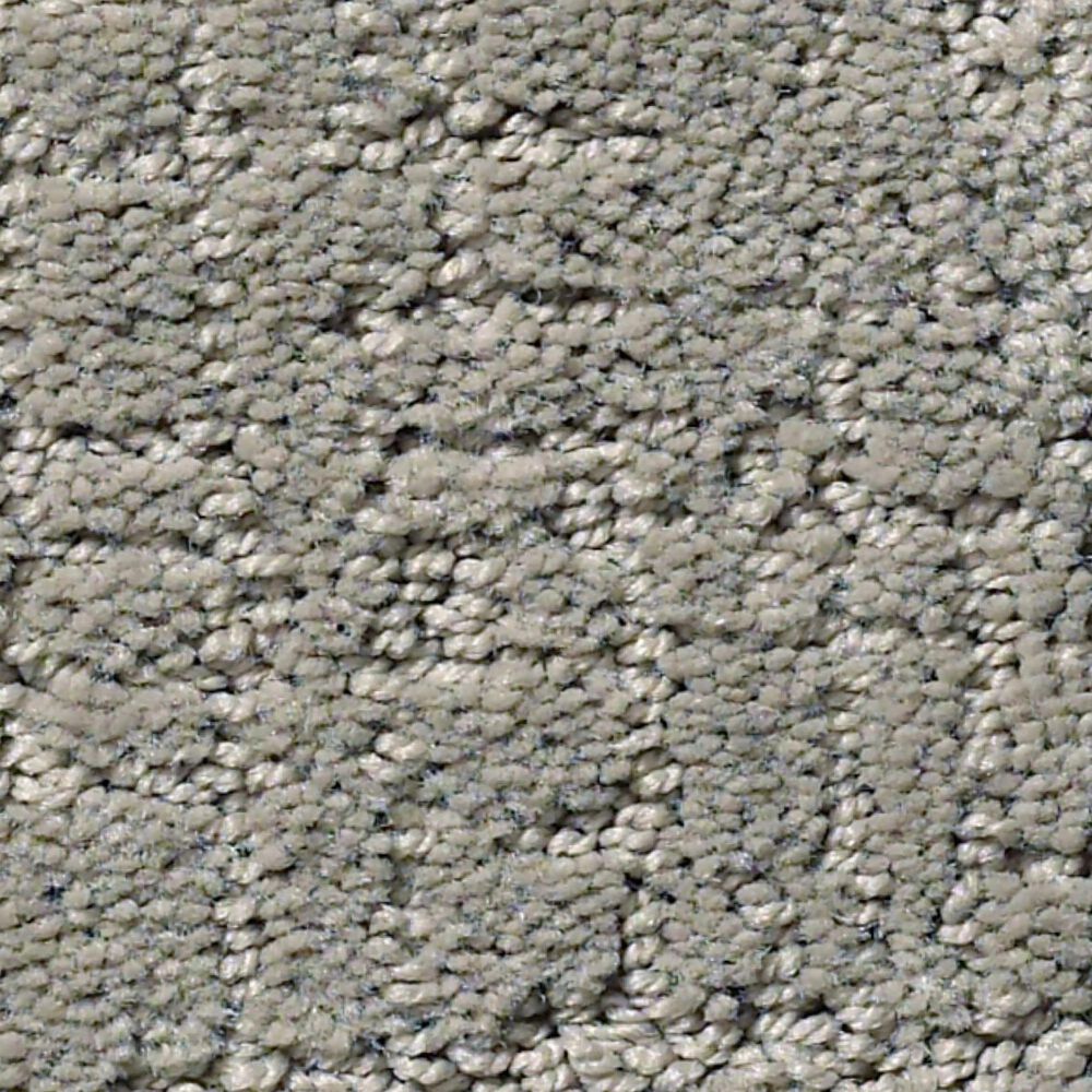 Shaw Creating Memories Carpet in Back Patio