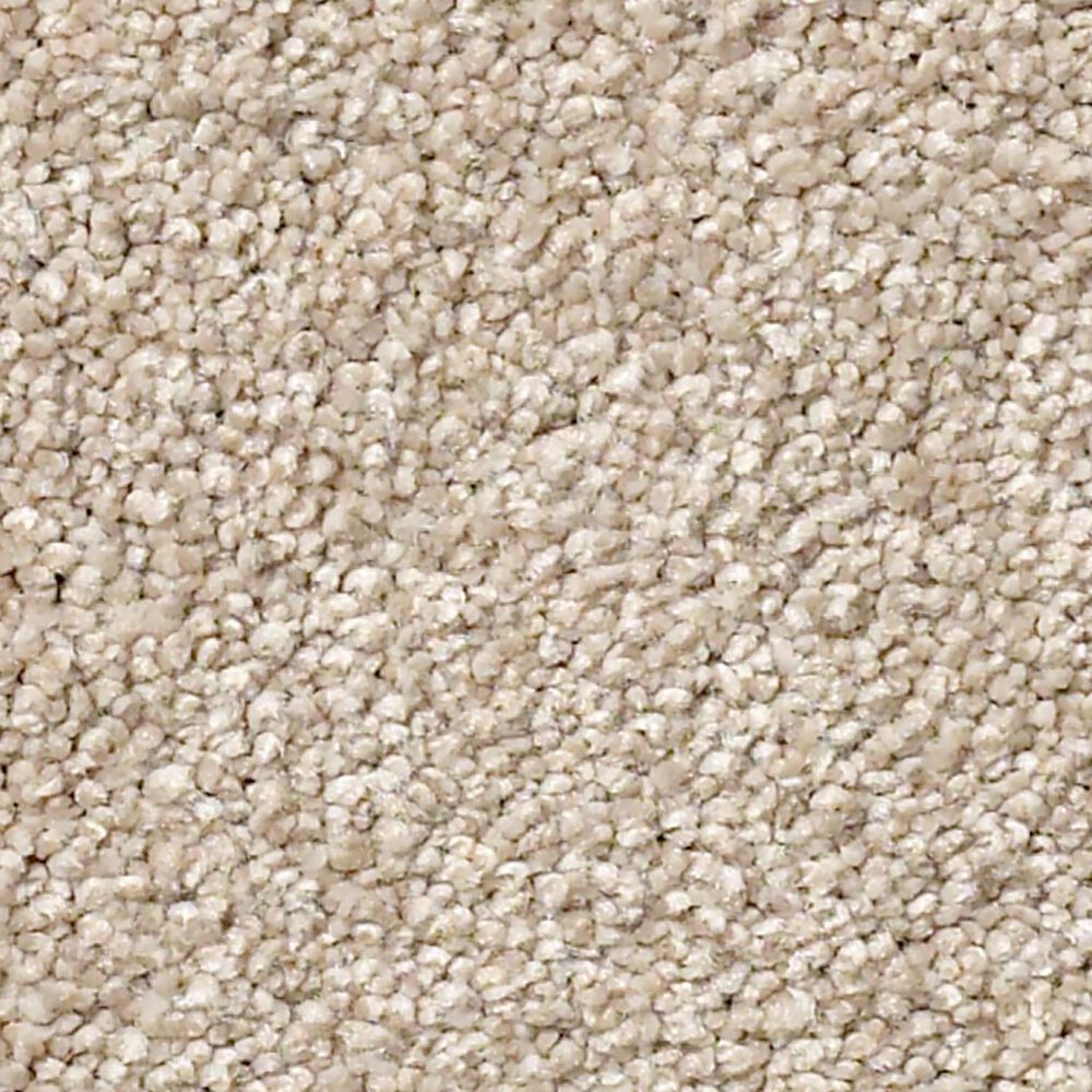 Shaw Find Your Comfort NS II Carpet in My Haven
