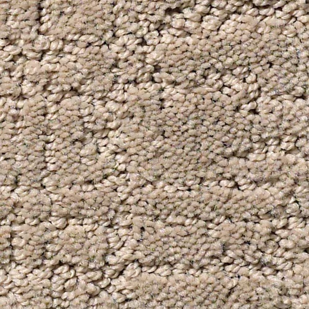 Shaw Creating Memories Carpet in My Haven