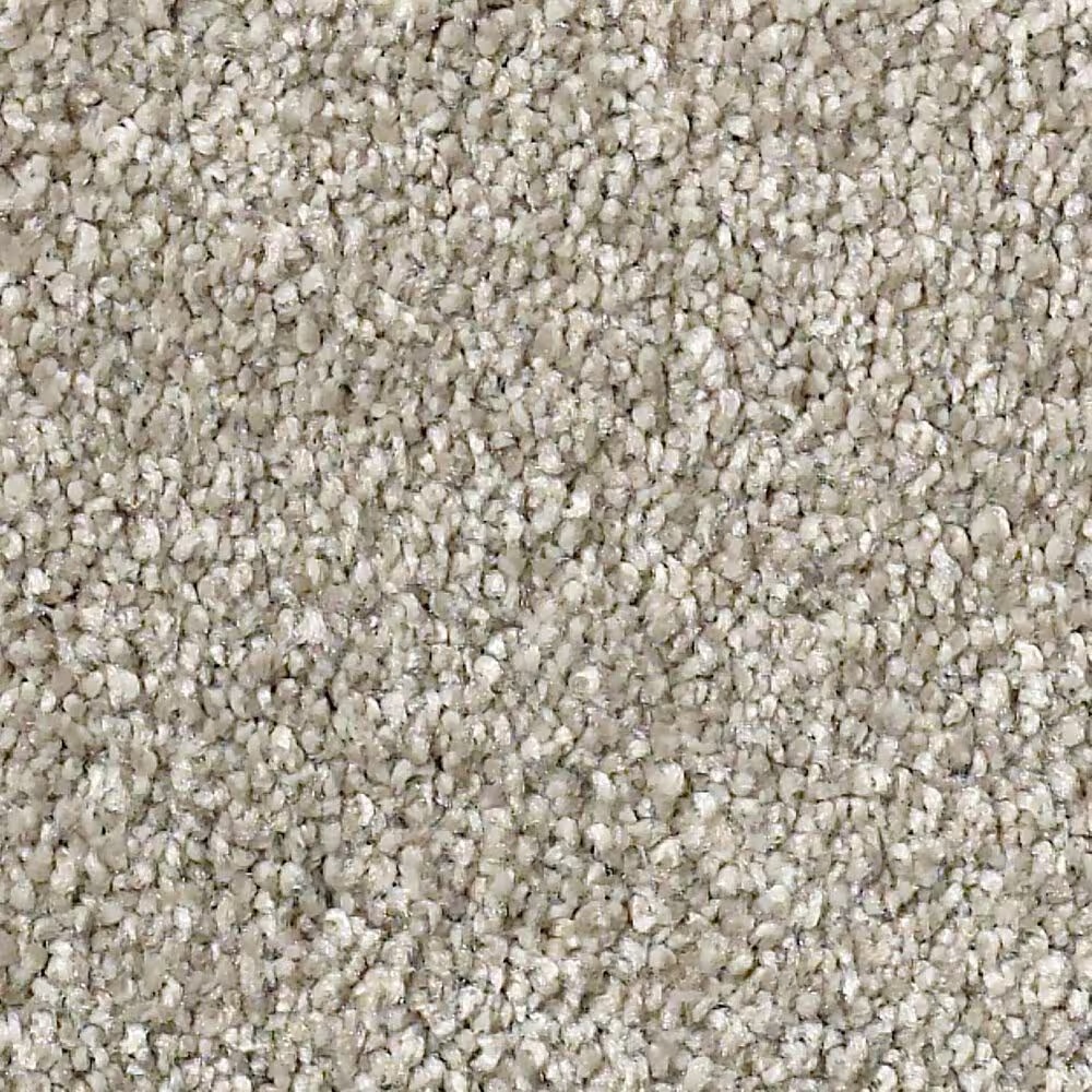 Shaw Find Your Comfort NS II Carpet in Back Patio