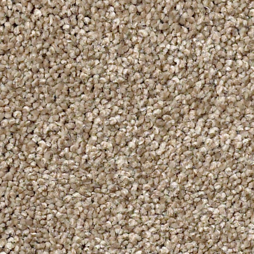 Shaw Find Your Comfort NS II Carpet in Camping Trip