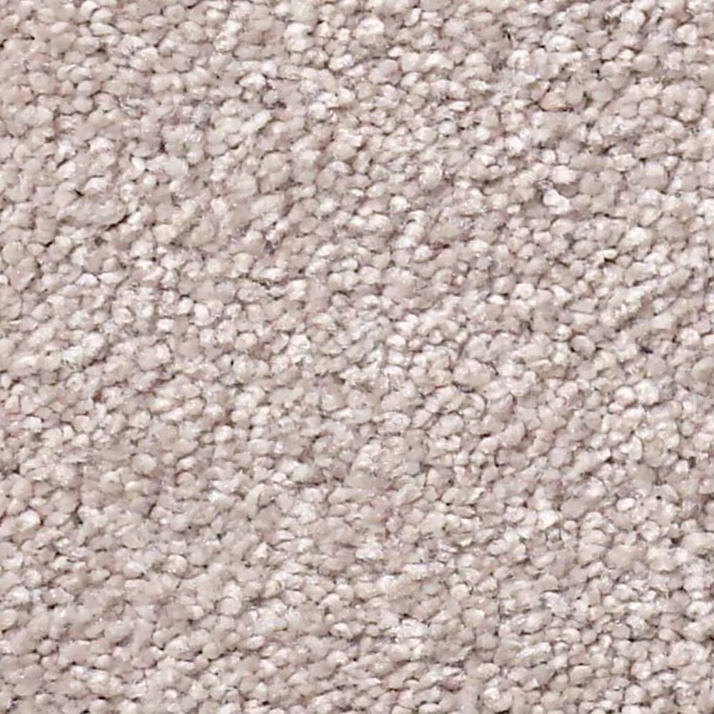 Shaw Find Your Comfort NS II Carpet in Evening in Paris