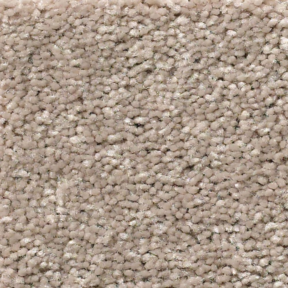 Shaw Simply the Best Attainable Carpet in Pebble Path