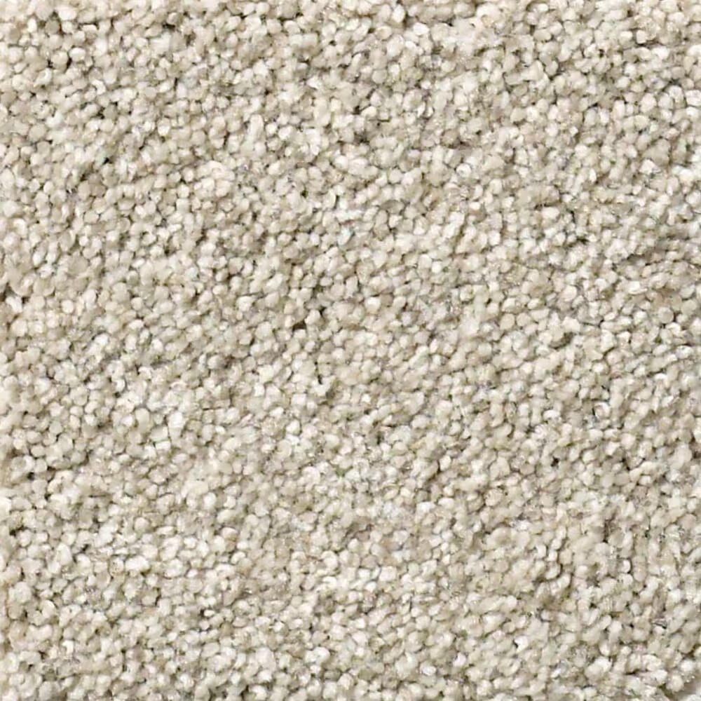 Shaw Find Your Comfort TT I Carpet in Sand Castle