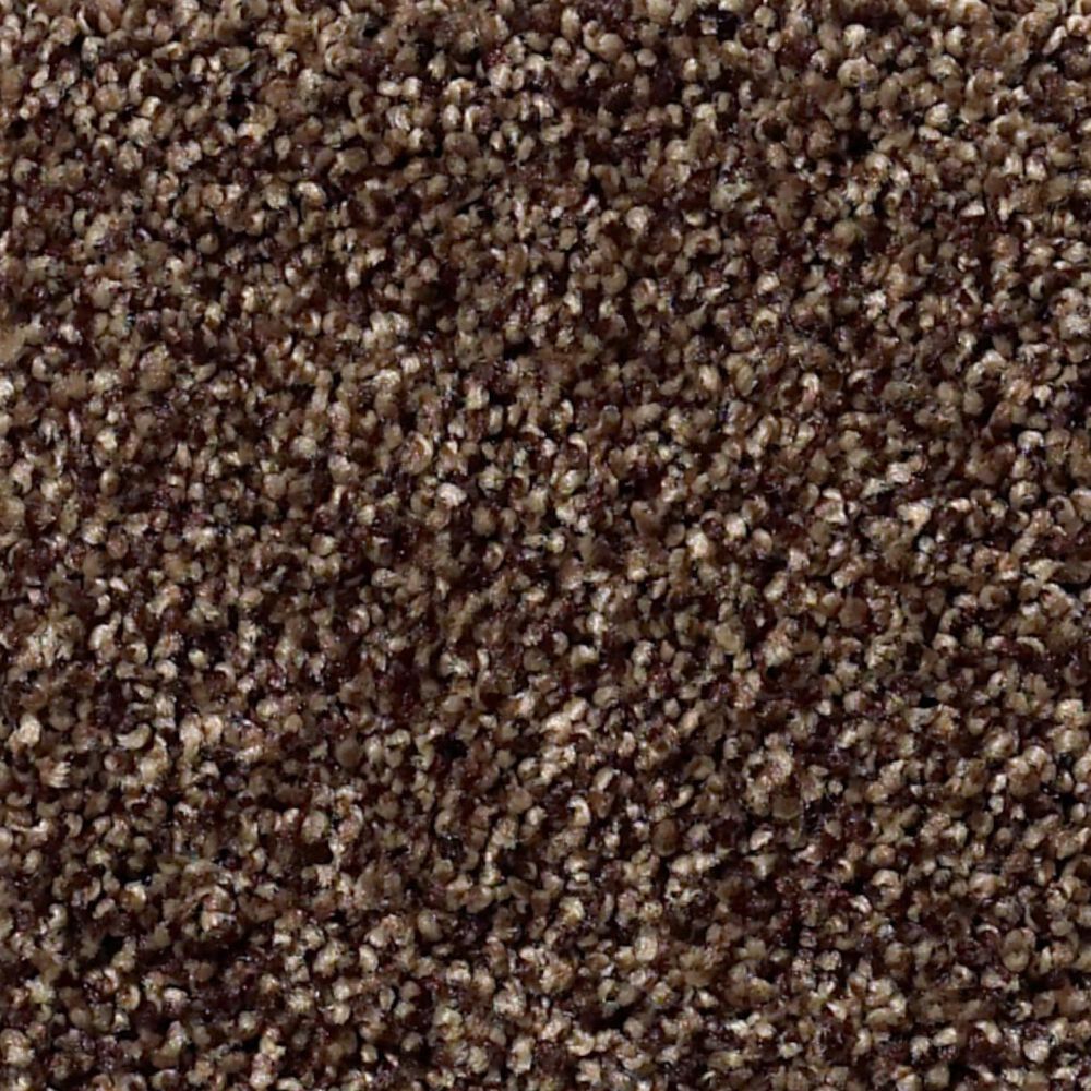 Shaw Find Your Comfort TT I Carpet in Chocolate Treat