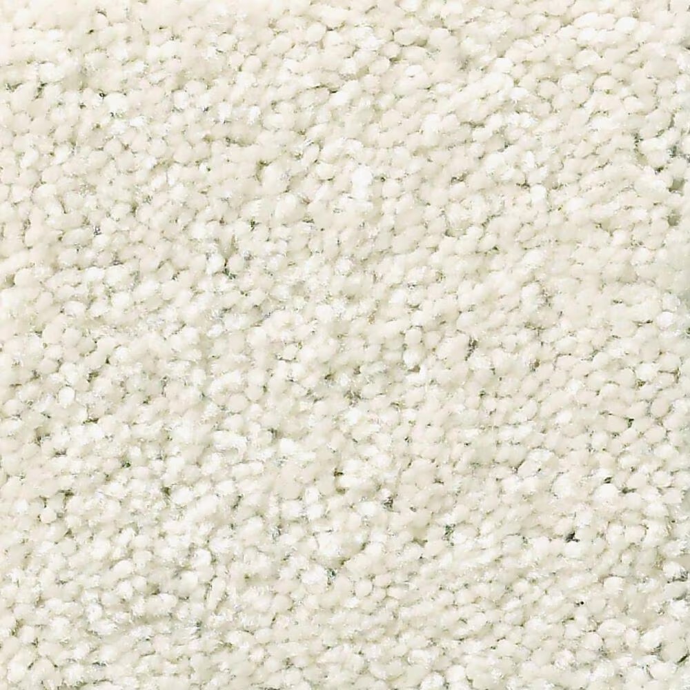Shaw Simply the Best Attainable Carpet in Blizzard