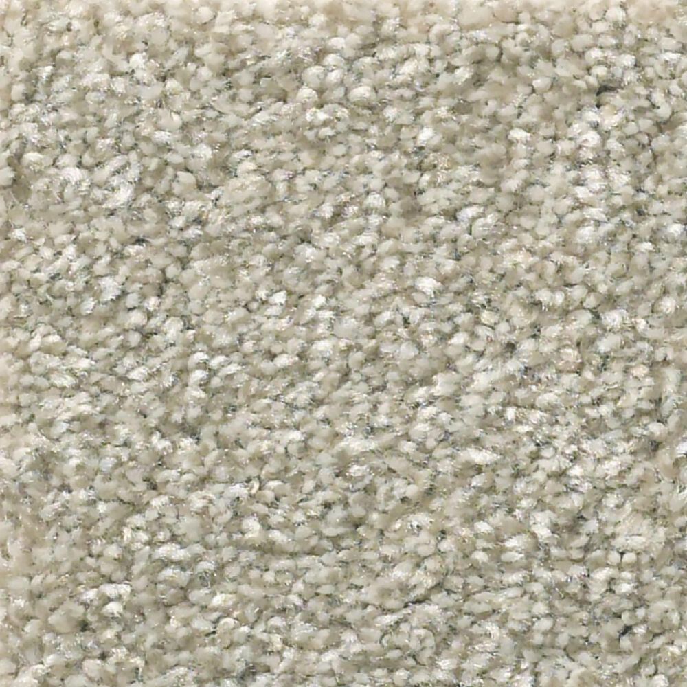 Shaw Simply the Best Attainable Carpet in Desert Light