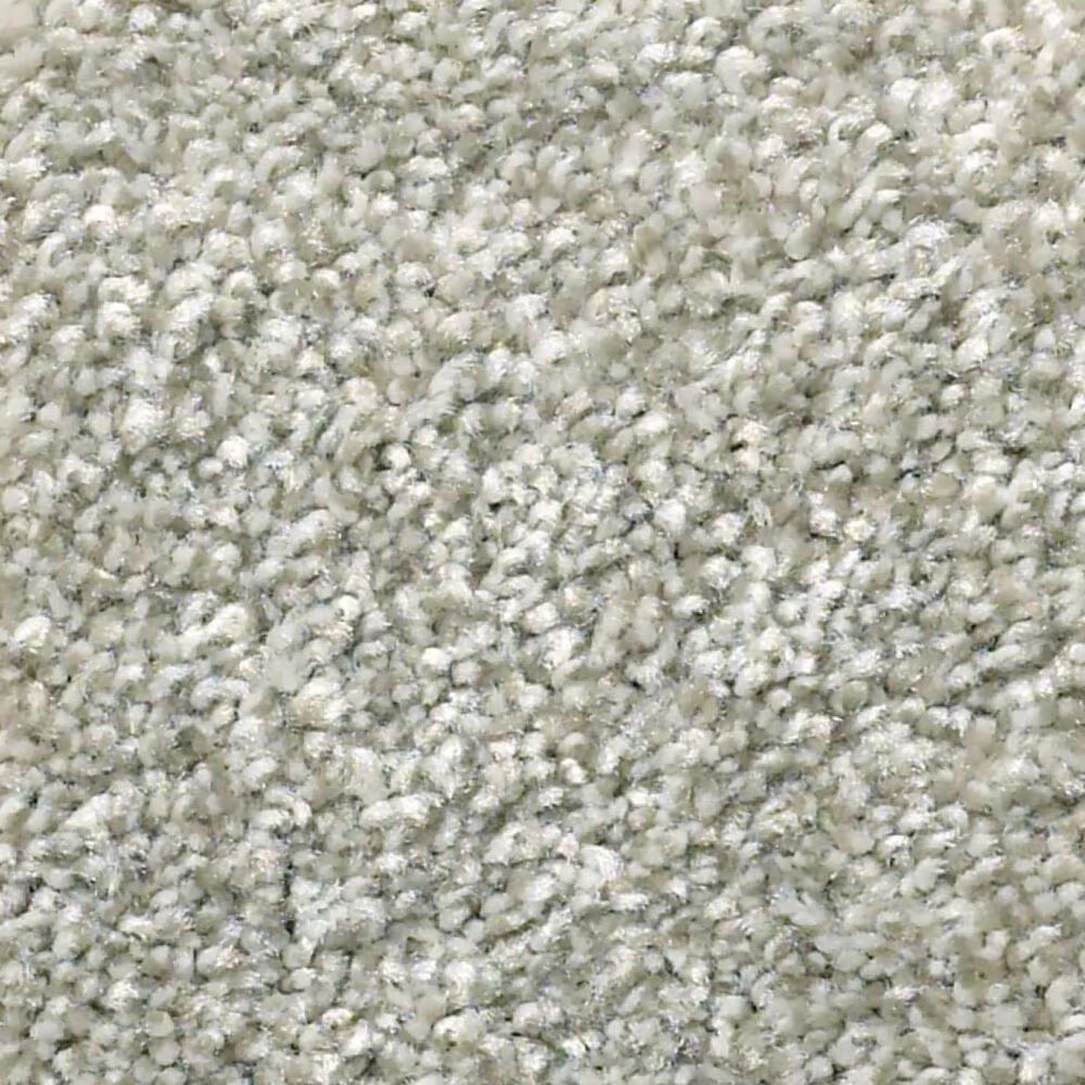 Shaw Simply the Best Attainable Carpet in Soft Fleece