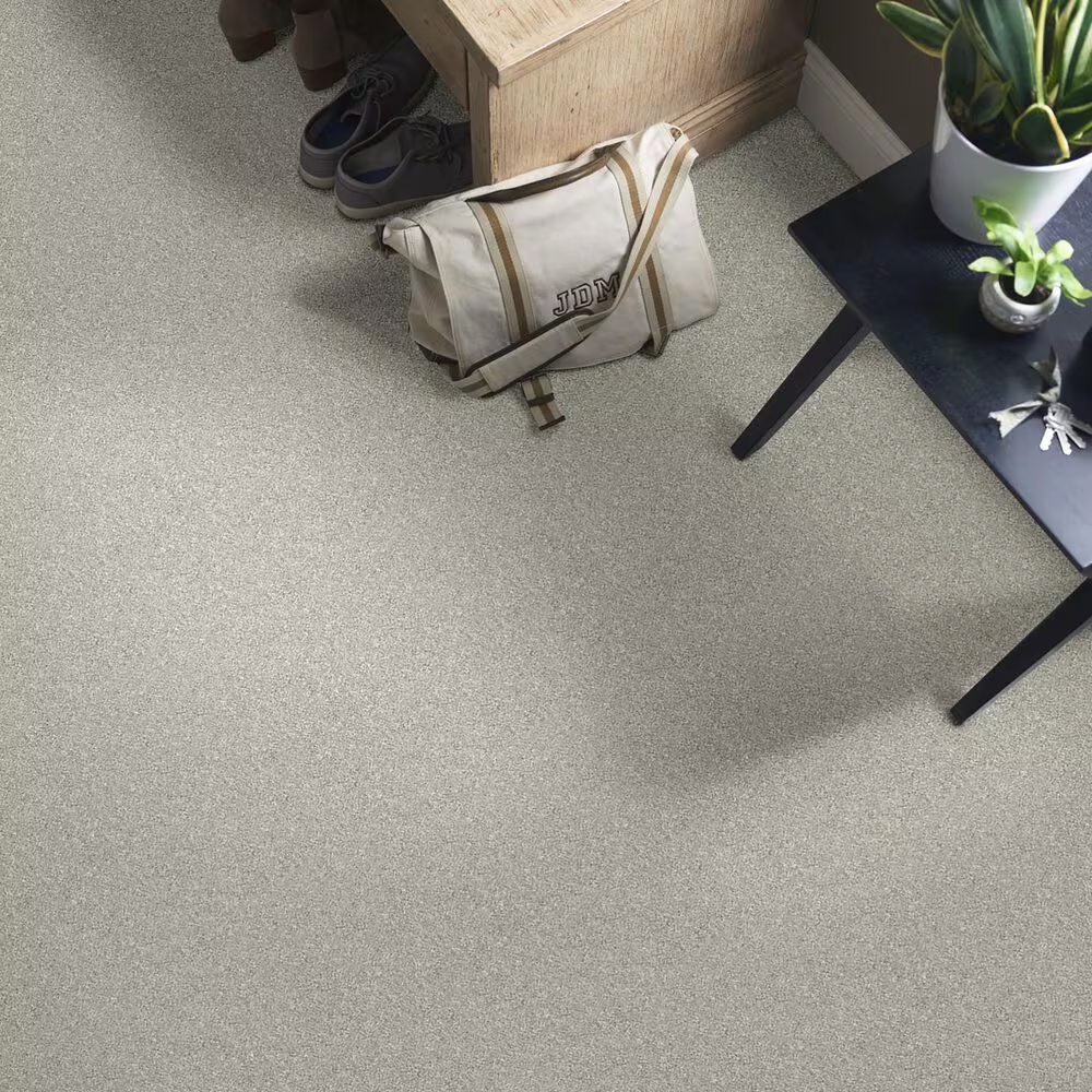 37331-shaw-simply-the-best-attainable-carpet-in-soft-fleece-1.jpg