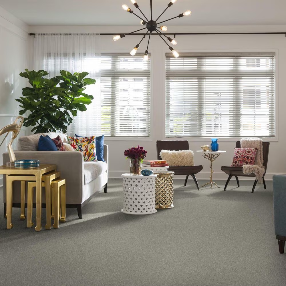 37331-shaw-simply-the-best-attainable-carpet-in-soft-fleece-1.jpg