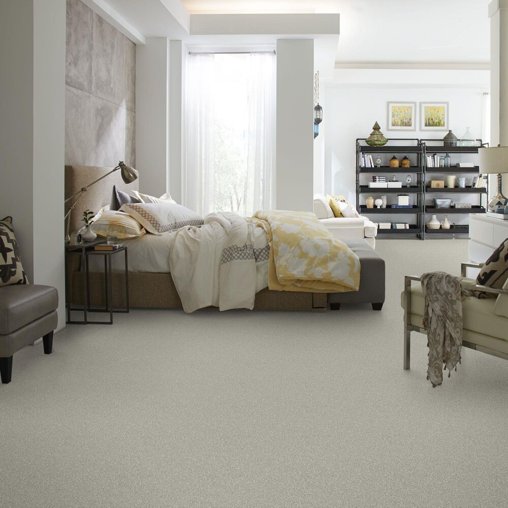 37331-shaw-simply-the-best-attainable-carpet-in-soft-fleece-1.jpg