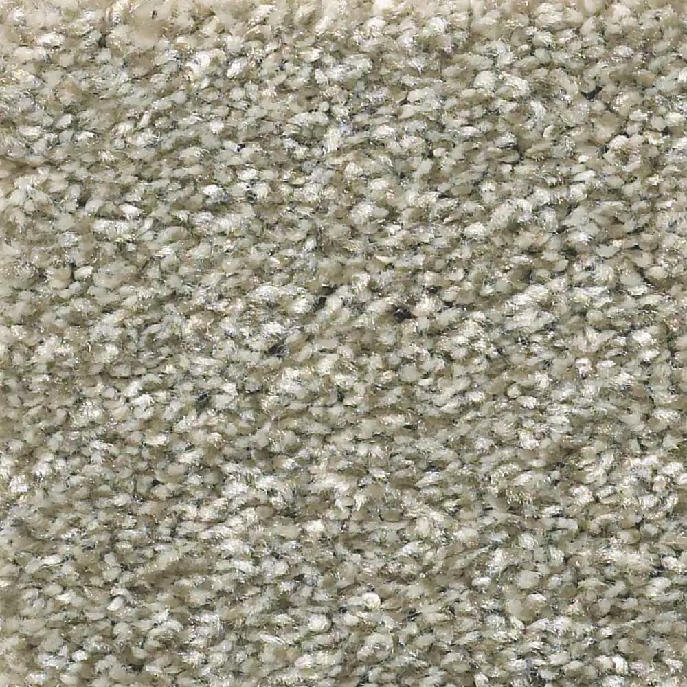 Shaw Simply the Best Attainable Carpet in Winter Dunes