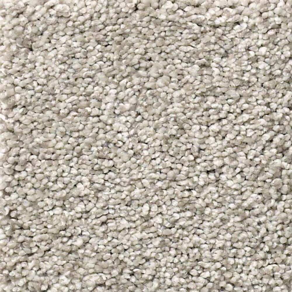 Shaw Find Your Comfort TT I Carpet in Shoreline Haze