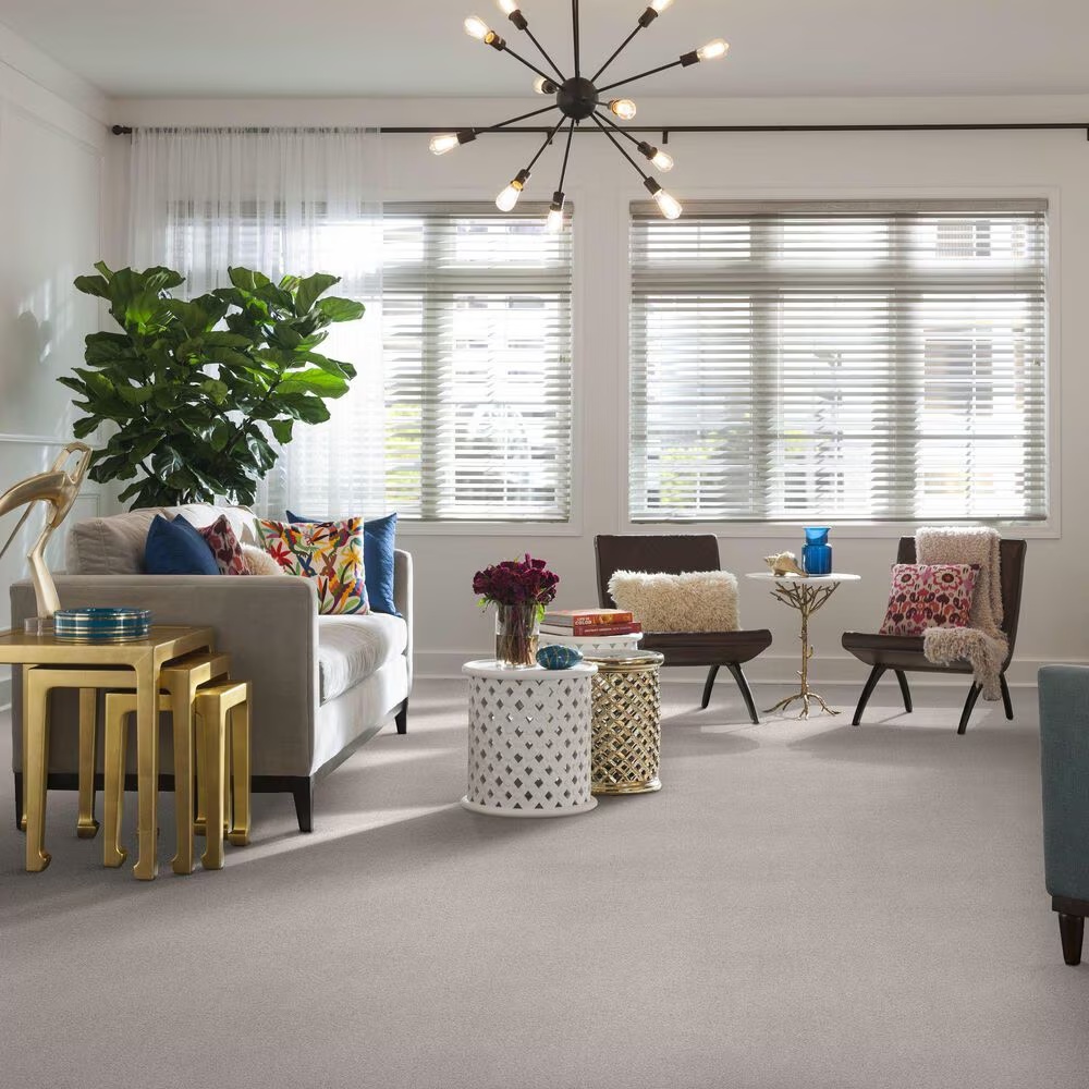 37335-shaw-find-your-comfort-tt-i-carpet-in-whitewashed-frame-1.jpg