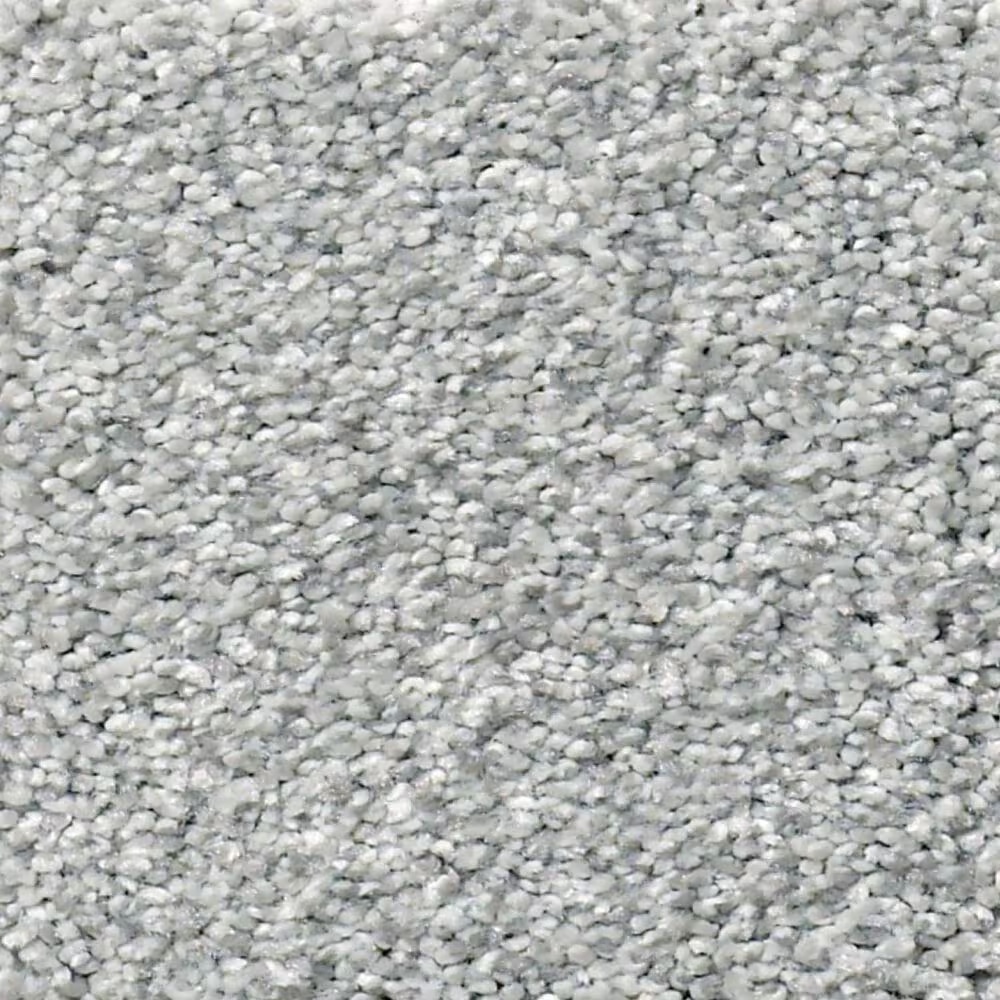 Shaw Find Your Comfort TT I Carpet in Polished Silver
