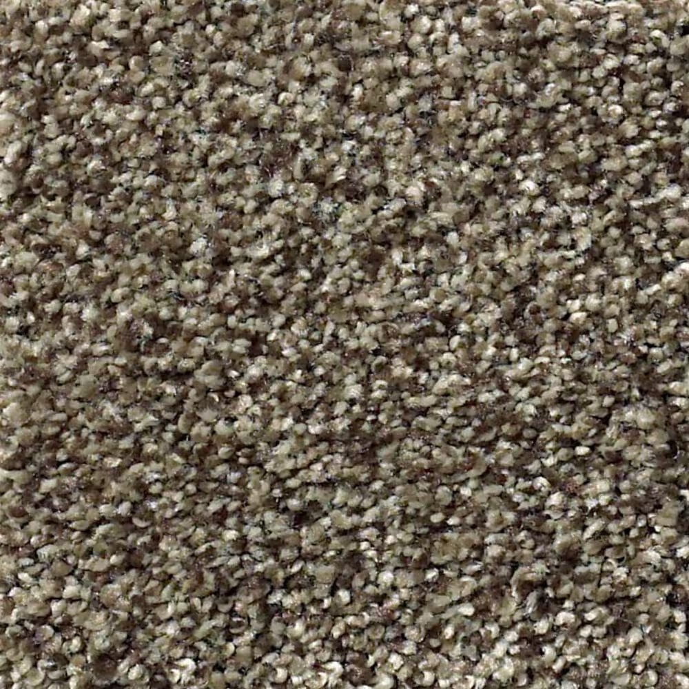 Shaw Find Your Comfort TT I Carpet in Summer House