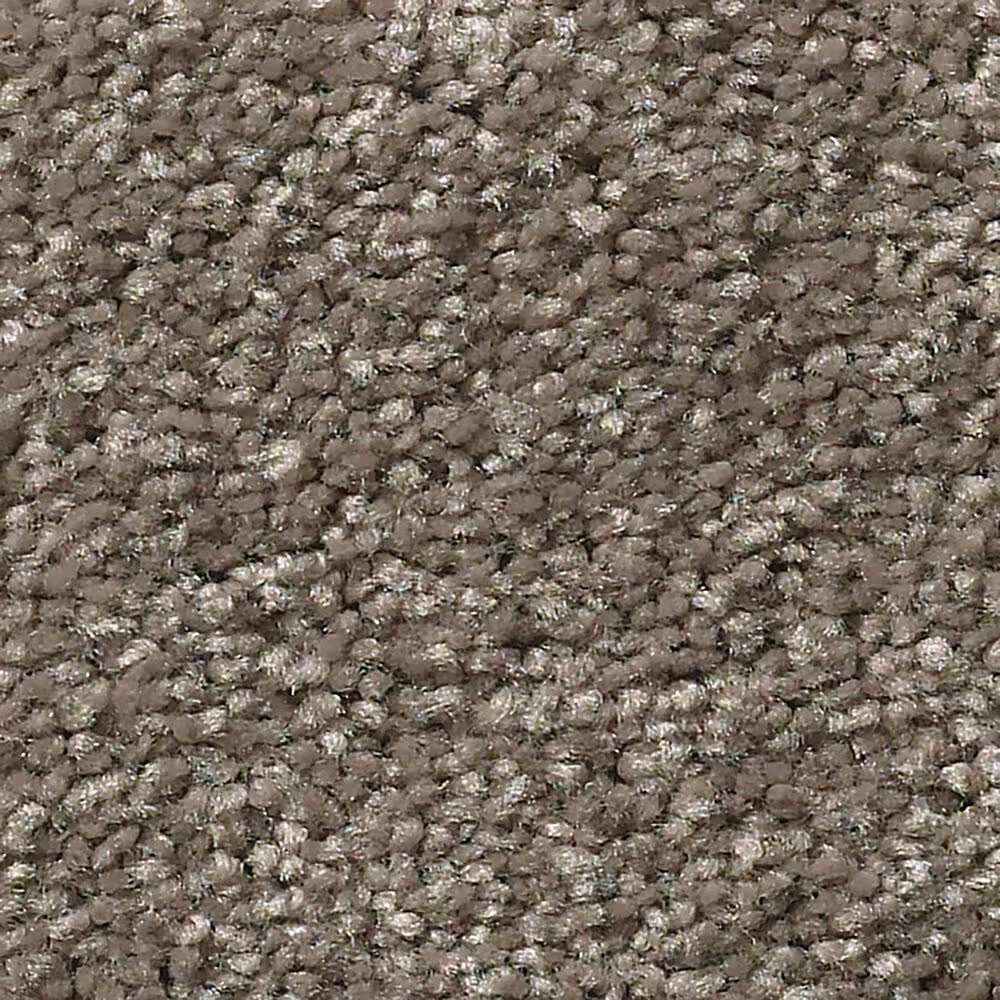 Shaw Simply the Best Attainable Carpet in Urban Loft