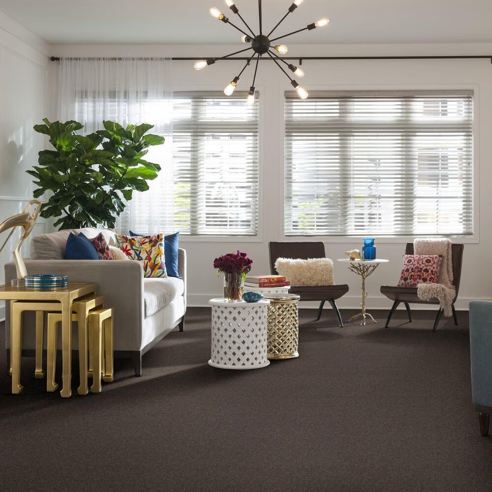 37343-shaw-simply-the-best-attainable-carpet-in-urban-loft-1.jpg