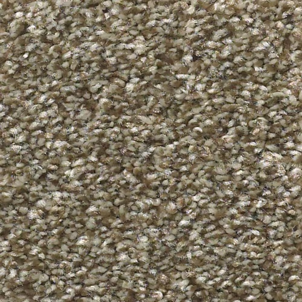 Shaw Simply the Best Attainable Carpet in Fox Hollow