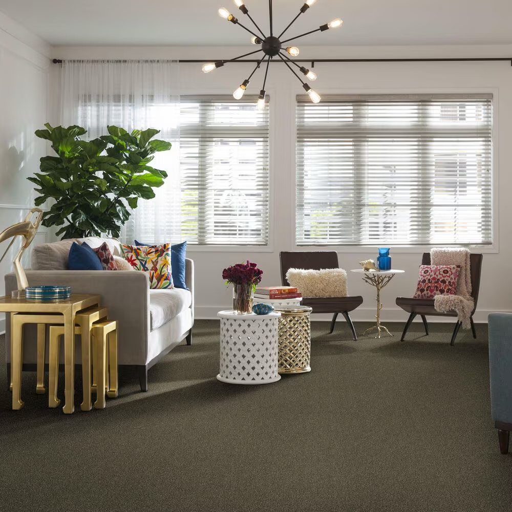 37344-shaw-simply-the-best-attainable-carpet-in-fox-hollow-1.jpg