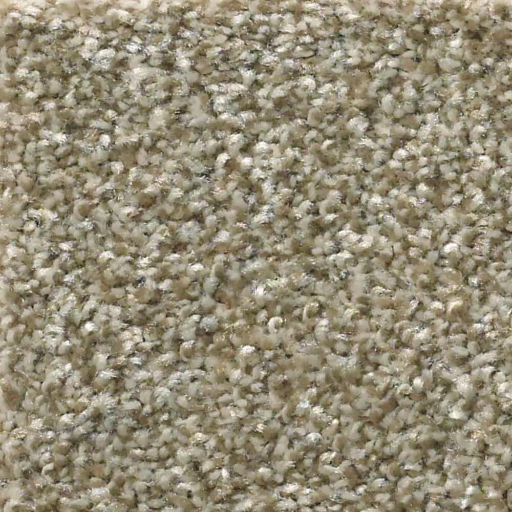 Shaw Simply the Best Attainable Carpet in Grecian Tan