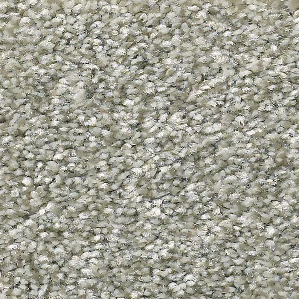 Shaw Simply the Best Attainable Carpet in Clay