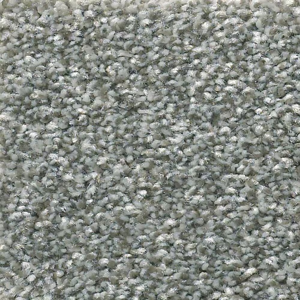 Shaw Simply the Best Attainable Carpet in Arctic Shadow