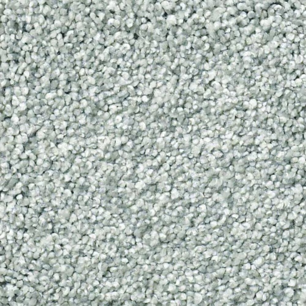 Shaw Find Your Comfort TT I Carpet in Distant Valley