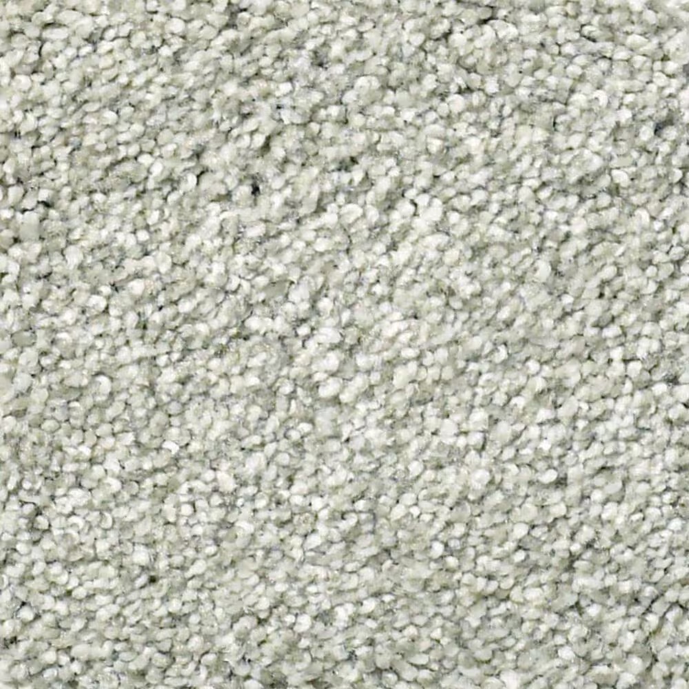 Shaw Find Your Comfort TT I Carpet in Willow Tree