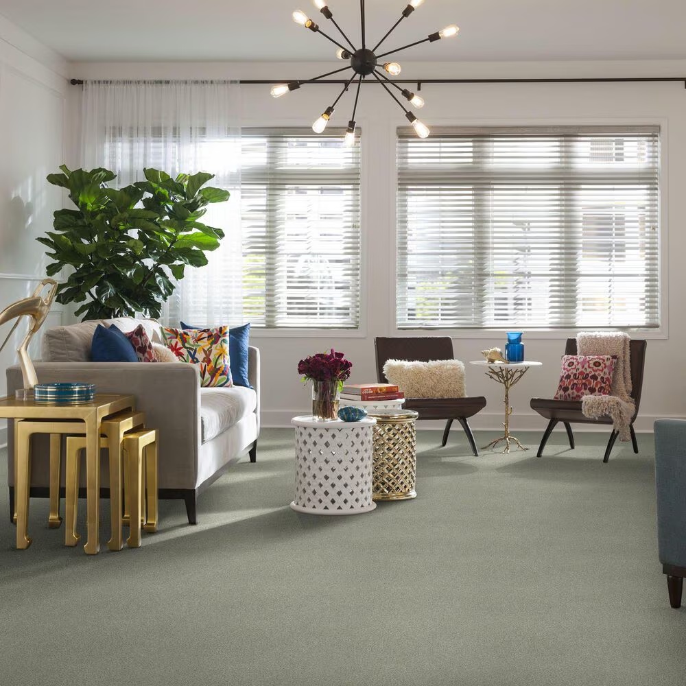 37366-shaw-find-your-comfort-tt-i-carpet-in-willow-tree-1.jpg