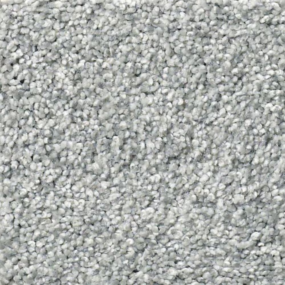 Shaw Find Your Comfort TT I Carpet in Tropical Hideaway