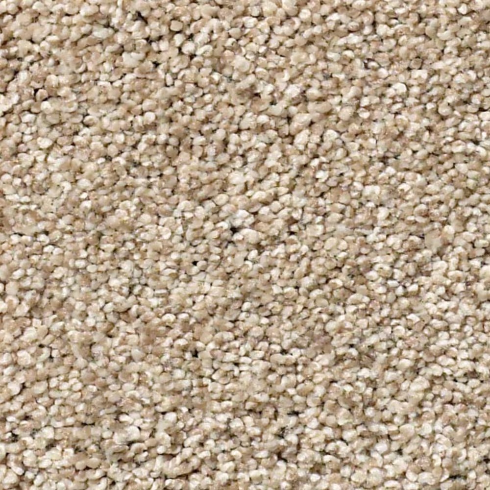 Shaw Find Your Comfort TT I Carpet in Walk on The Beach