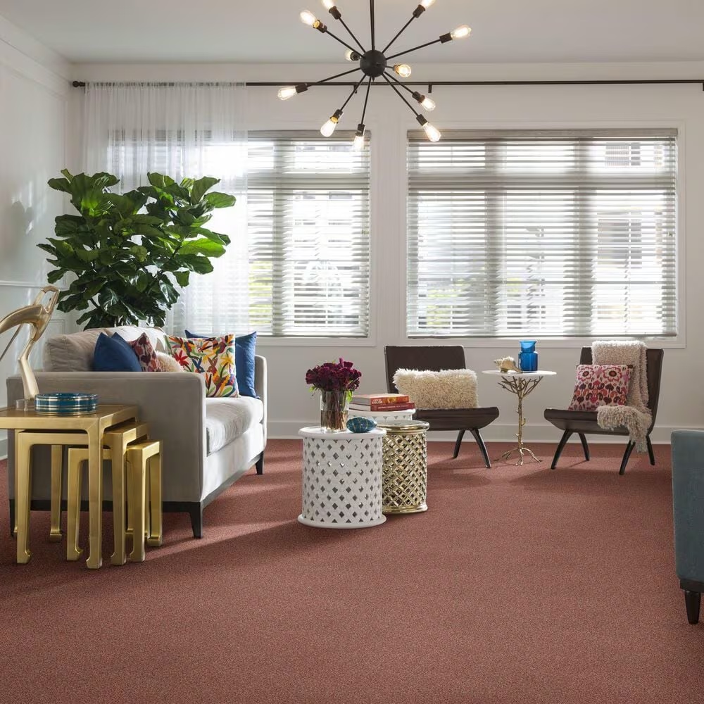 37371-shaw-find-your-comfort-tt-i-carpet-in-open-the-rose-1.jpg