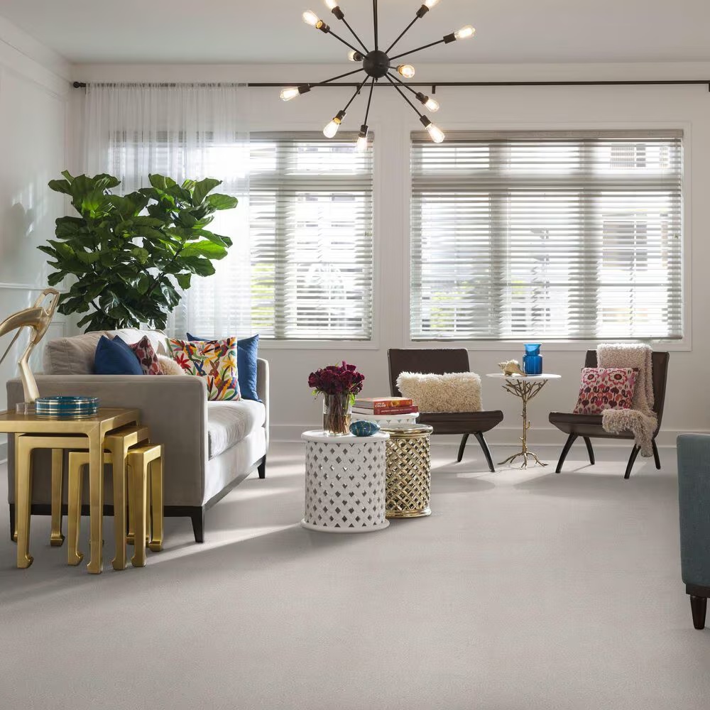 37373-shaw-find-your-comfort-tt-i-carpet-in-sweet-innocence-1.jpg