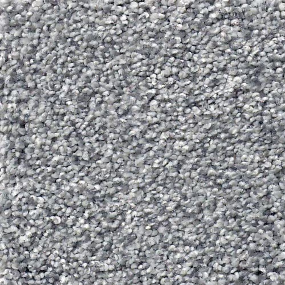 Shaw Find Your Comfort TT I Carpet in Dolphin Sighting
