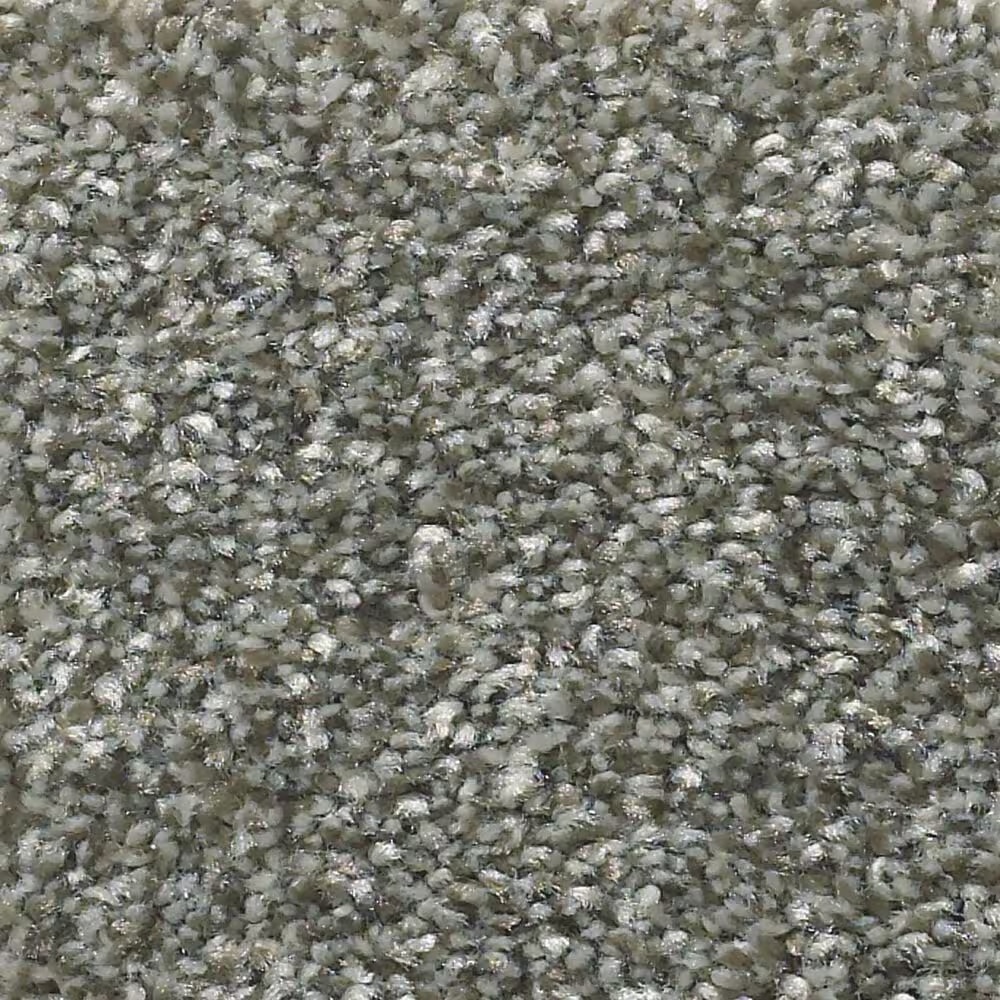 Shaw Simply the Best Attainable Carpet in Cedar Ridge